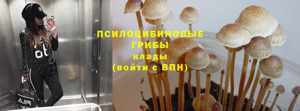 каннабис Беломорск