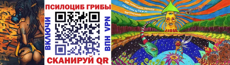 omg ссылки  Очёр  Галлюциногенные грибы Cubensis 
